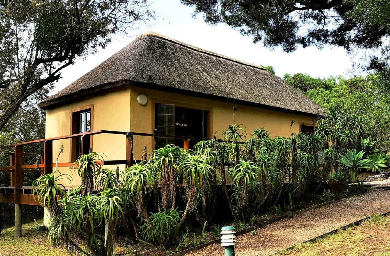 Fairy Knowe Backpackers Lodge Wilderness Exterior photo