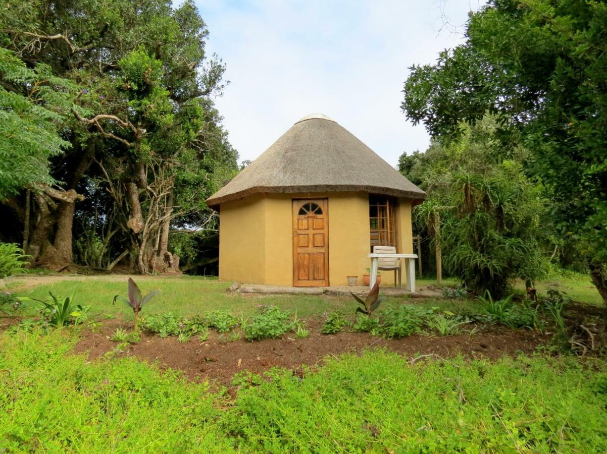 Fairy Knowe Backpackers Lodge Wilderness Exterior photo